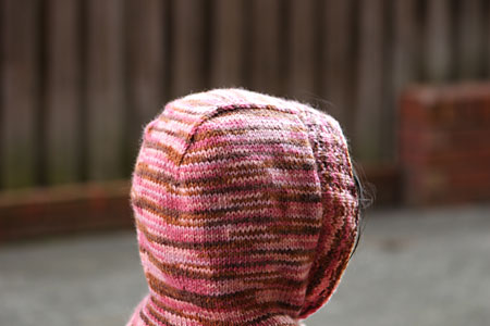 Hood detail